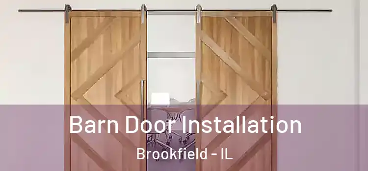  Barn Door Installation Brookfield - IL