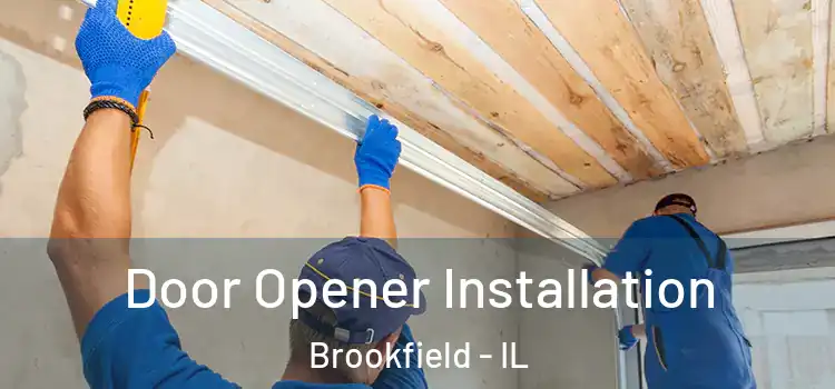 Door Opener Installation Brookfield - IL