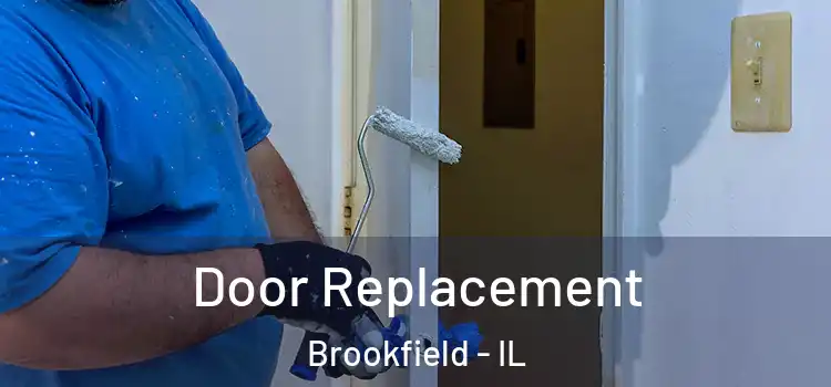  Door Replacement Brookfield - IL