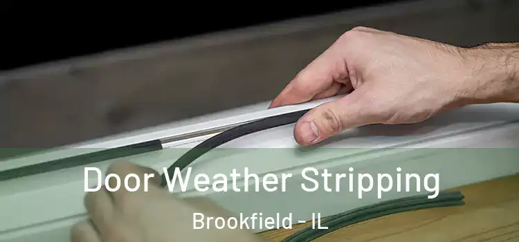  Door Weather Stripping Brookfield - IL