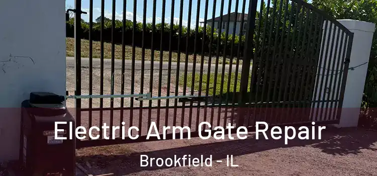Electric Arm Gate Repair Brookfield - IL