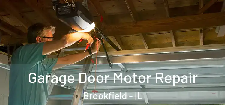  Garage Door Motor Repair Brookfield - IL