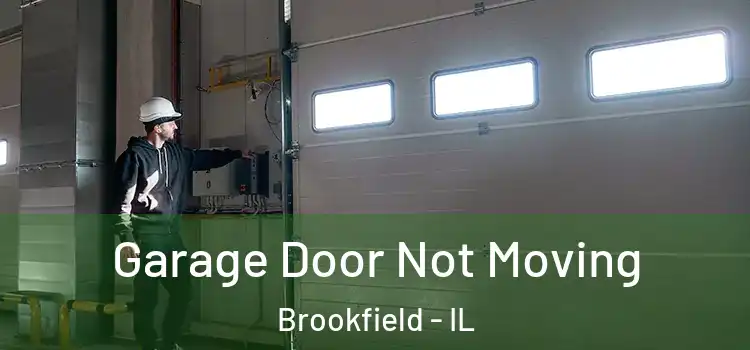  Garage Door Not Moving Brookfield - IL