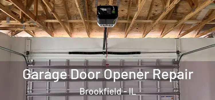  Garage Door Opener Repair Brookfield - IL