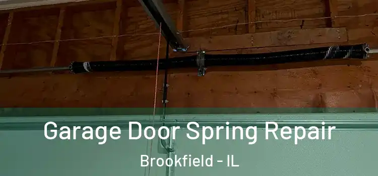  Garage Door Spring Repair Brookfield - IL