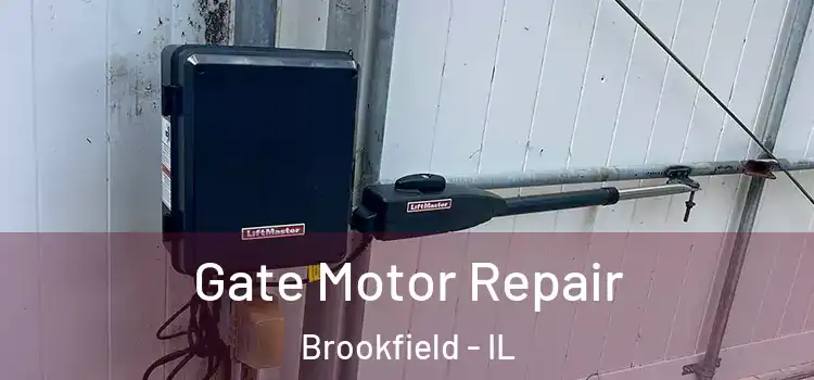  Gate Motor Repair Brookfield - IL