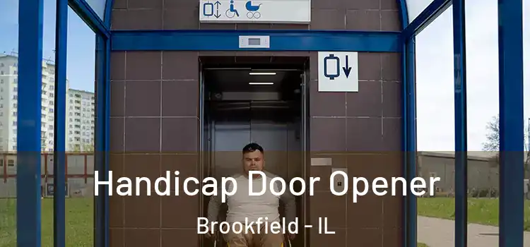  Handicap Door Opener Brookfield - IL