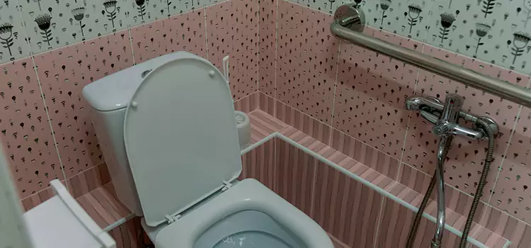 Meeting Diverse Needs With Accessible Restroom Solutions in Brookfield, IL