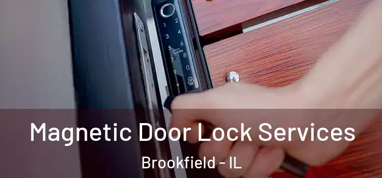 Magnetic Door Lock Services Brookfield - IL
