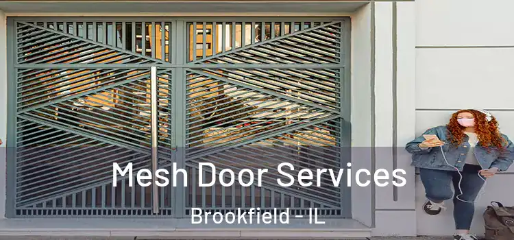  Mesh Door Services Brookfield - IL