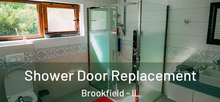  Shower Door Replacement Brookfield - IL