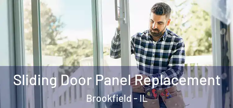  Sliding Door Panel Replacement Brookfield - IL